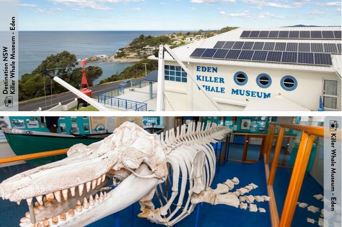 Eden Killer Whale Museum