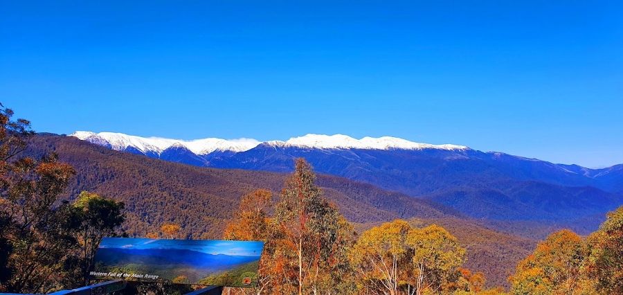 Scammels Ridge Lookout