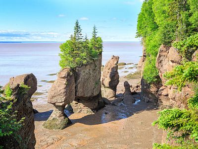 Hopewell Rocks